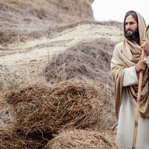 Conociendo el Nuevo Testamento