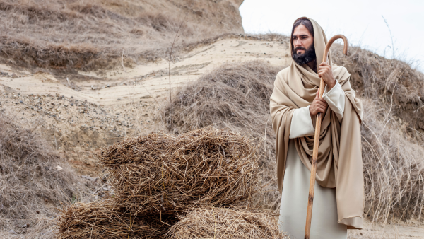 Conociendo el Nuevo Testamento